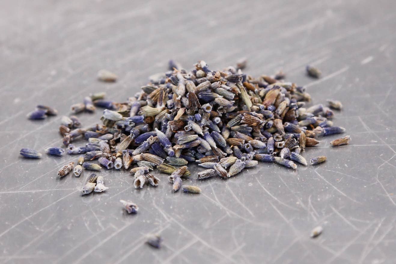 Lavender Flowers