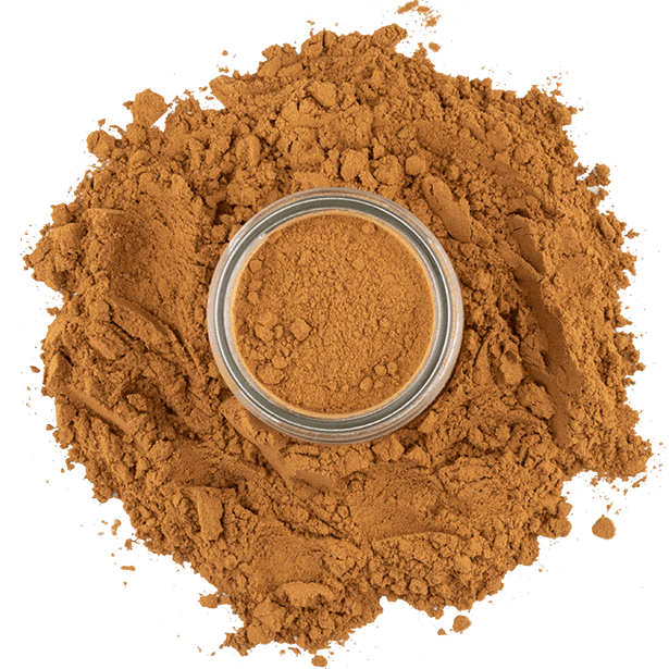 Cinnamon, Saigon Ground