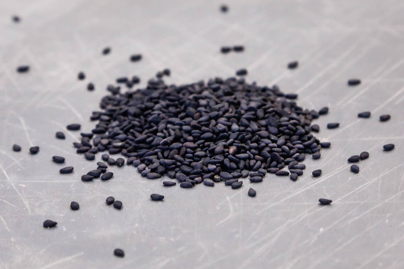 Sesame Seed, Black