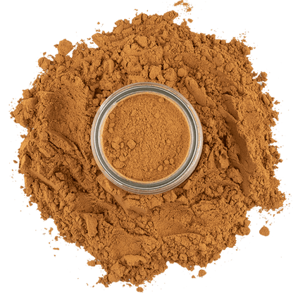 Cinnamon, Saigon Ground