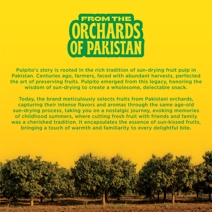 Freaky Falsa (Sherbert Berry) Natural Fruit Snacks