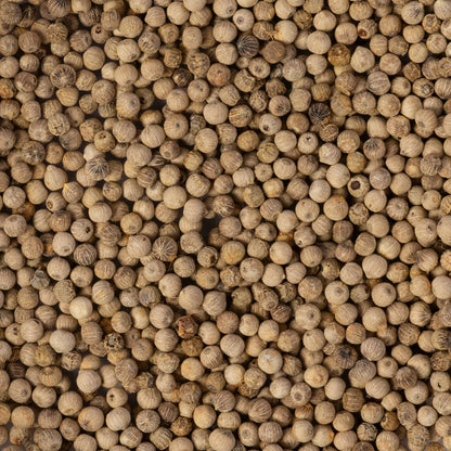 Freshly Harvested White Pepper