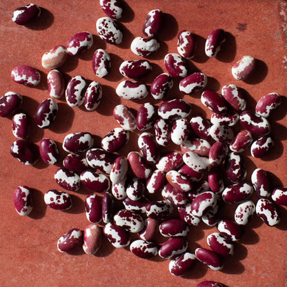 Southwest Red beans (Organic)
