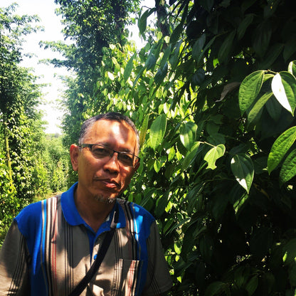 Fermented White Pepper (Muntok White Pepper) - Single Origin