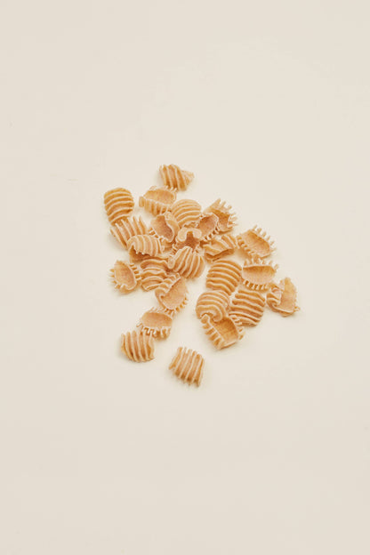 Regenerative Whole-Grain Radiatori - L'Isolina “Farmed for Flavor” Pasta