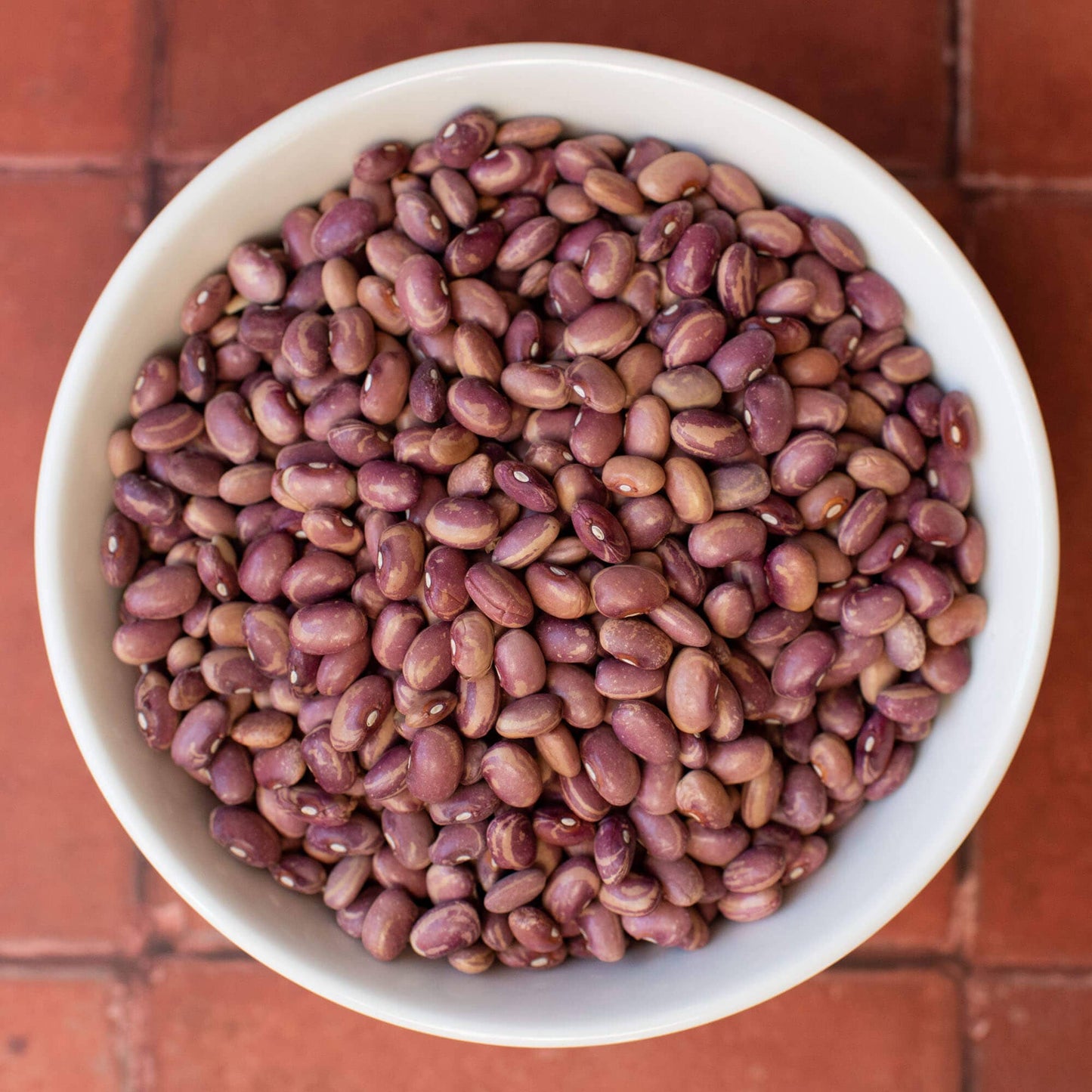 Flor de Junio beans (Organic)