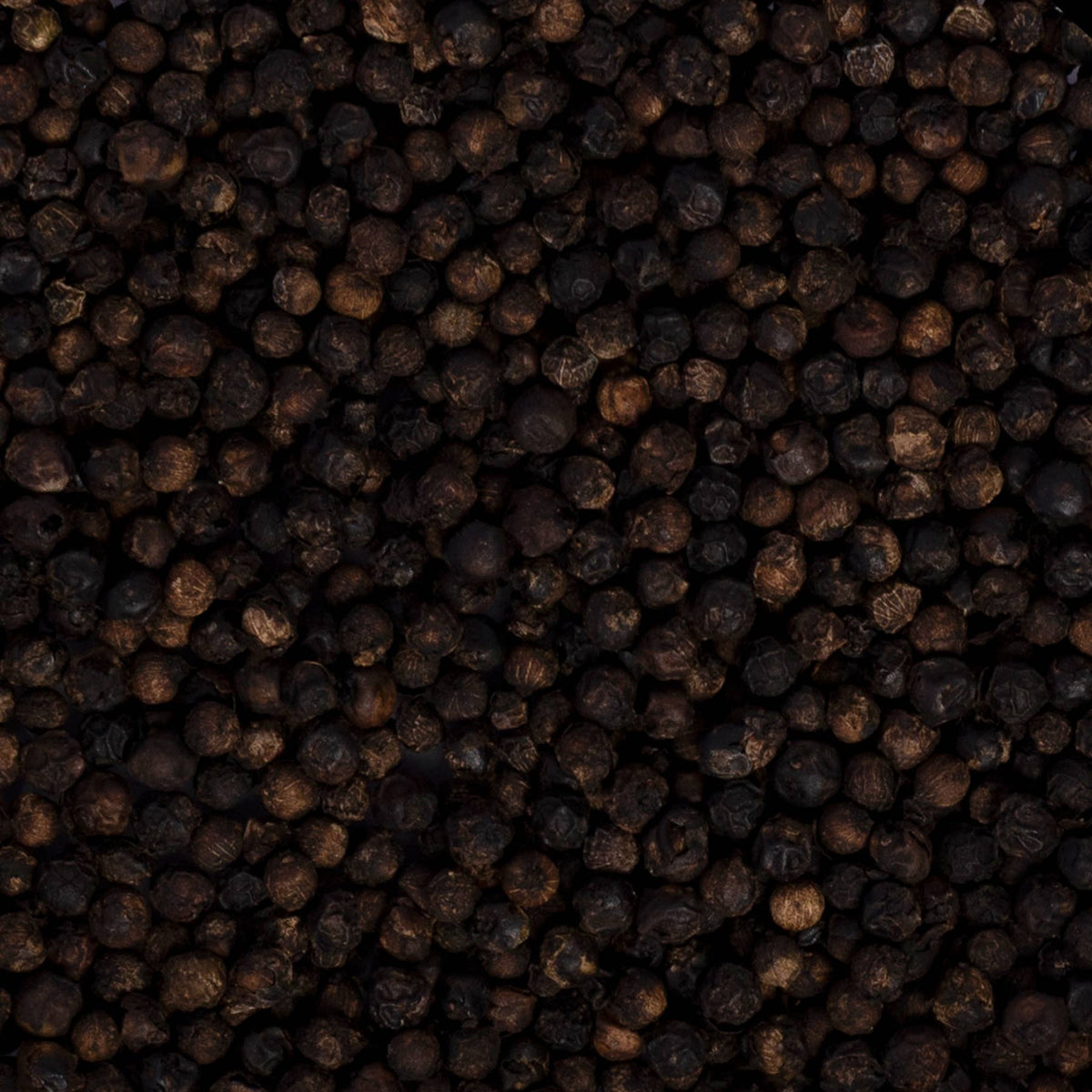 Freshly Harvested Black Pepper