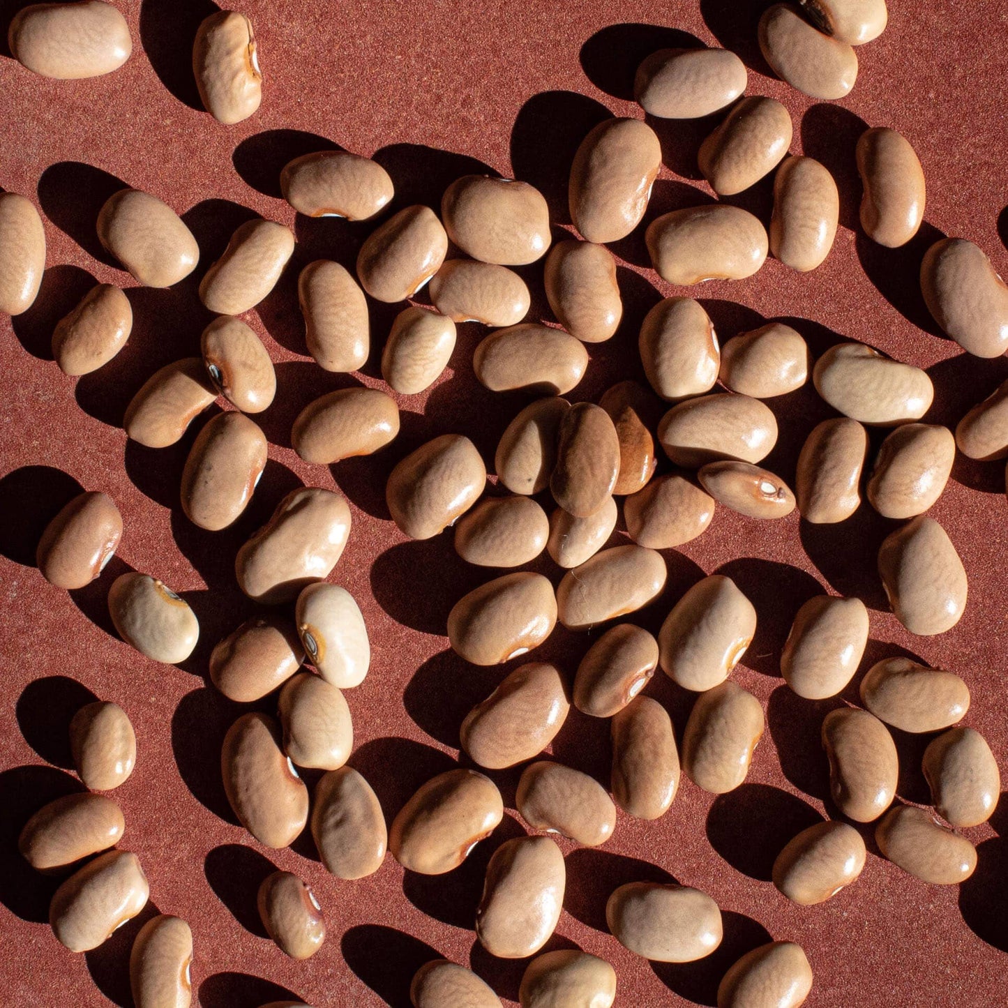 Bayo beans (Organic)