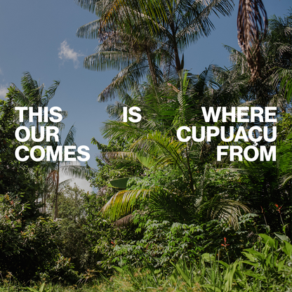 Pure | 63% Cupuaçu Bar