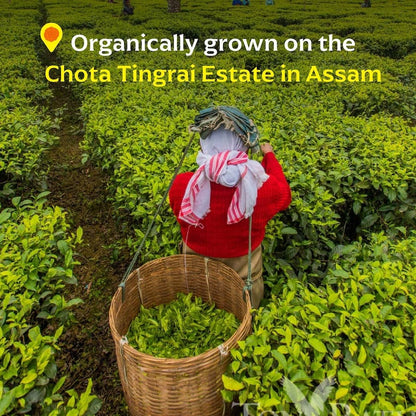 Chota Tingrai Black Tea: Base Tin - 33g