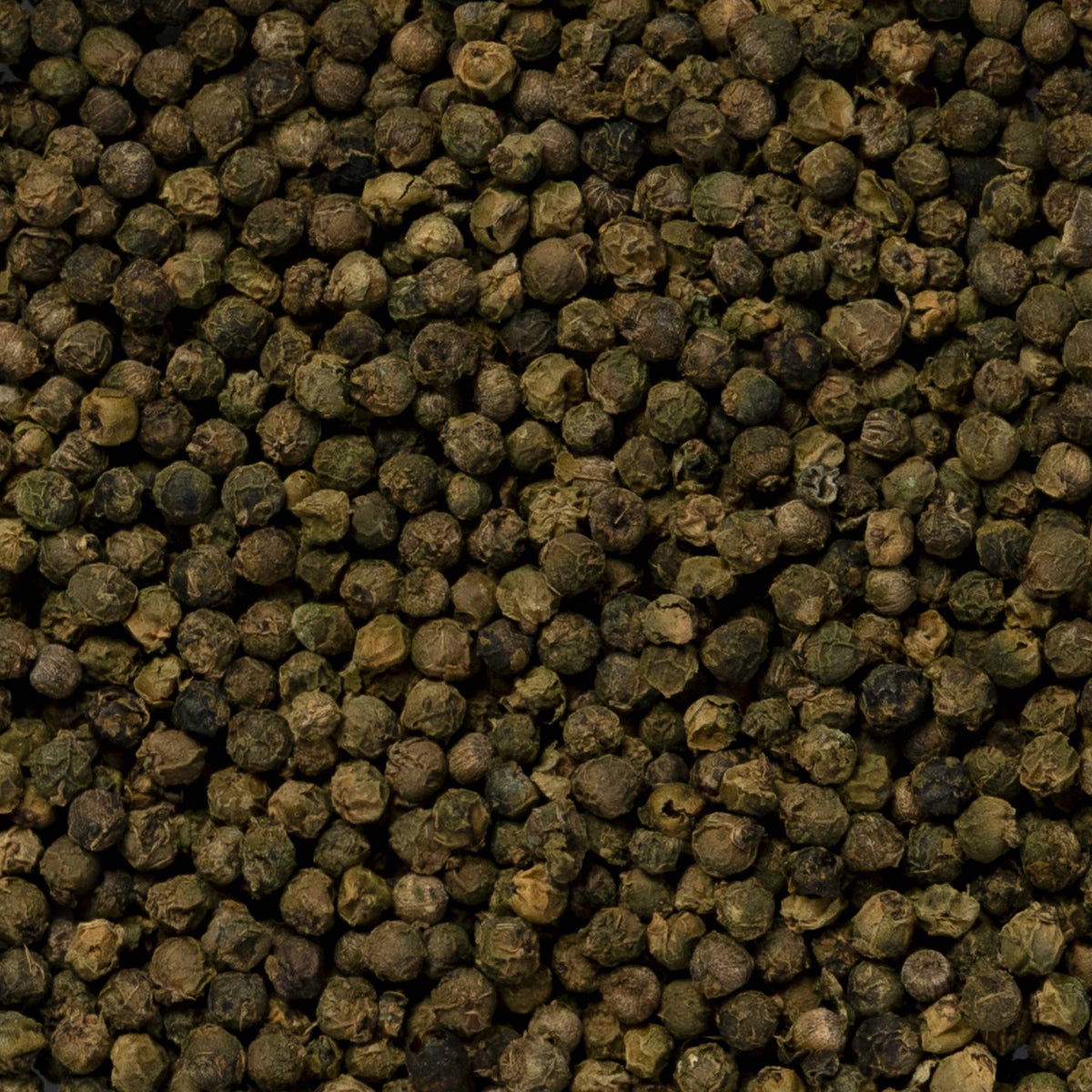Freshly Harvested Green Pepper