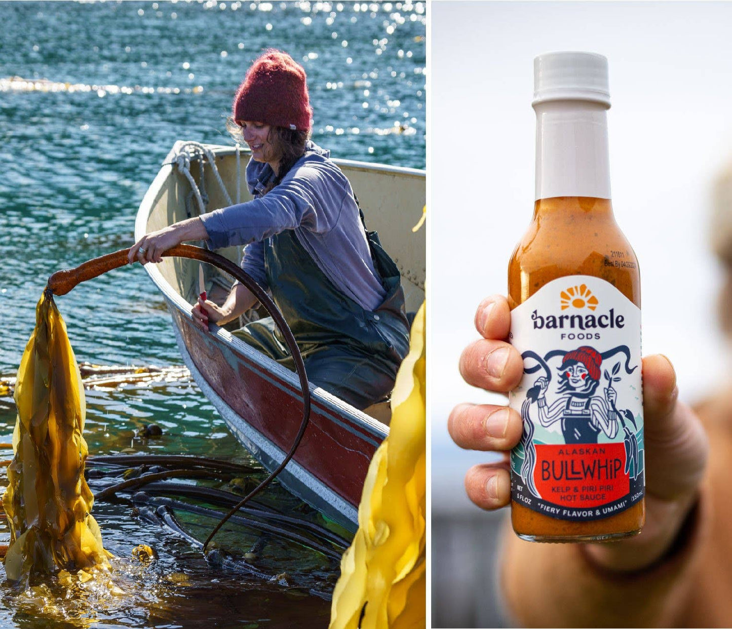 Barnacle Foods Bullwhip Hot Sauce