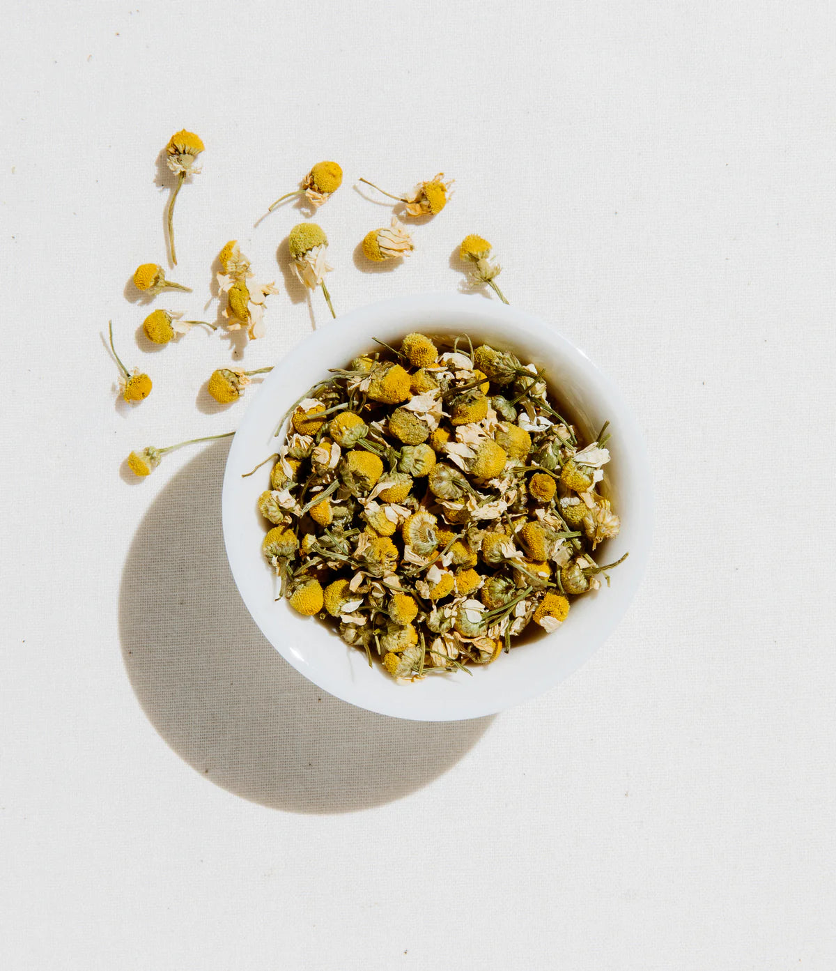 Egyptian Camomile--Loose Leaf